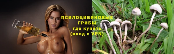 шишки Абаза