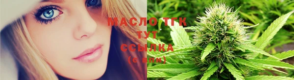 шишки Абаза