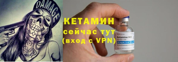 шишки Абаза