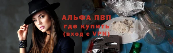 ECSTASY Новозыбков