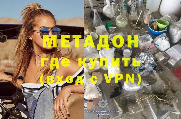 шишки Абаза
