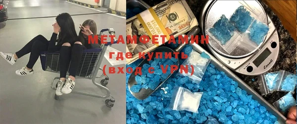 индика Алзамай