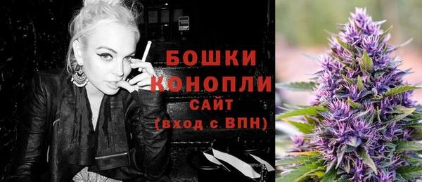 шишки Абаза