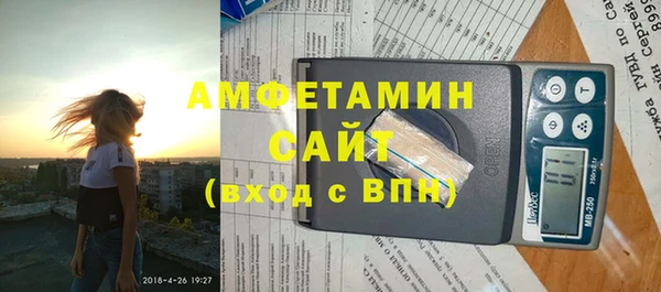 шишки Абаза