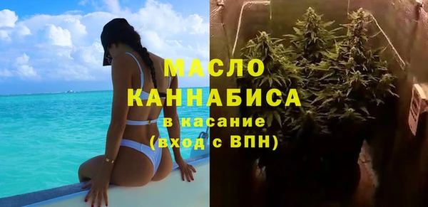 шишки Абаза