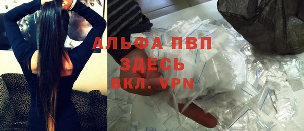 шишки Абаза