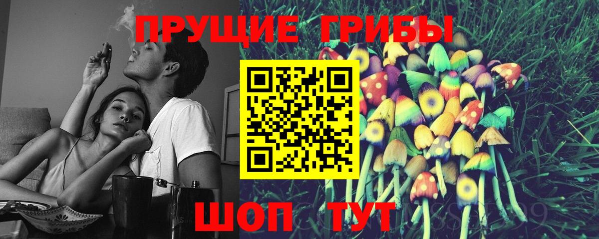Галлюциногенные грибы Psilocybine cubensis  Вход с VPN  сколько стоит  Псилоцибиновые грибы Psilocybe  Астрахань 