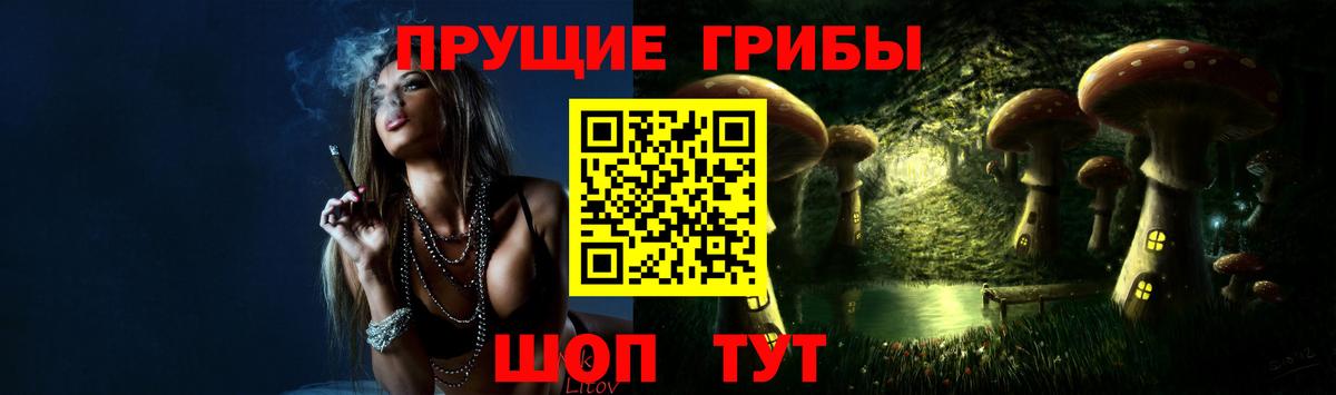 Псилоцибиновые грибы Cubensis Астрахань
